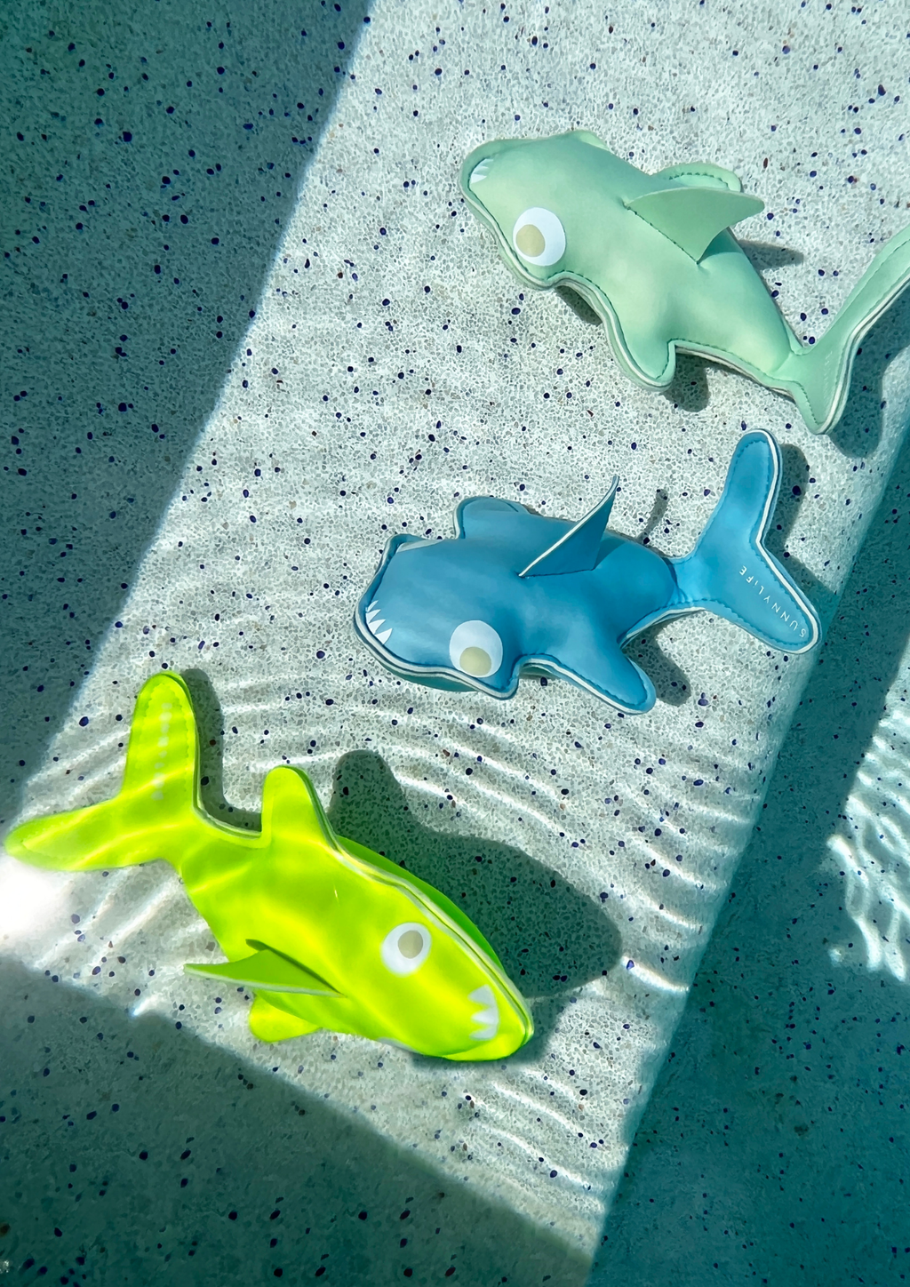 DIVE BUDDIES