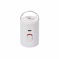 PORTABLE ELECTRIC AIR PUMP
